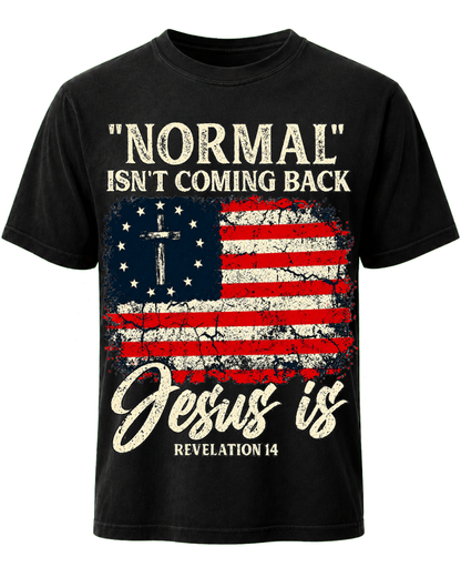 Normal Isnt Coming Back Jesus Is Christian American Flag Jesus God Christian T Shirt