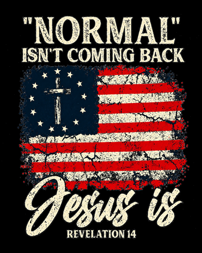 Normal Isnt Coming Back Jesus Is Christian American Flag Jesus God Christian T Shirt